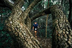 BIB: 
                            <button type="button" onclick="openModal(25394106)" class="btn btn-primary btn-sm float-right btn-popup" data-toggle="modal" data-target=".modal-high-quality">
                        <i class="fas fa-shopping-cart"></i> Add to Cart
                    </button>
                                            <button type="button" onclick="isThisMe(25394106, true)" class="btn btn-success btn-sm float-right btn-popup btn-isme hidden" data-toggle="tooltip" data-placement="bottom" title="นี่คือรูปของคุณใช่ไหม คลิกที่นี่เพื่อเอาเข้าอัลบั้ม">
                        <i class="fas fa-plus"></i> Add to album
                    </button>
                    <button type="button" onclick="isThisMe(25394106, false)" class="btn btn-warning btn-sm float-right btn-popup btn-isnotme hidden">
                        <i class="fas fa-ban"></i> Remove from album
                    </button>